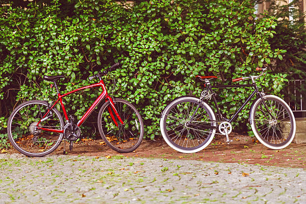 Doğru Bisiklet Seçimi ve Bakımı